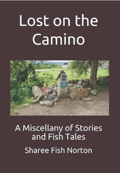 Lost on the Camino